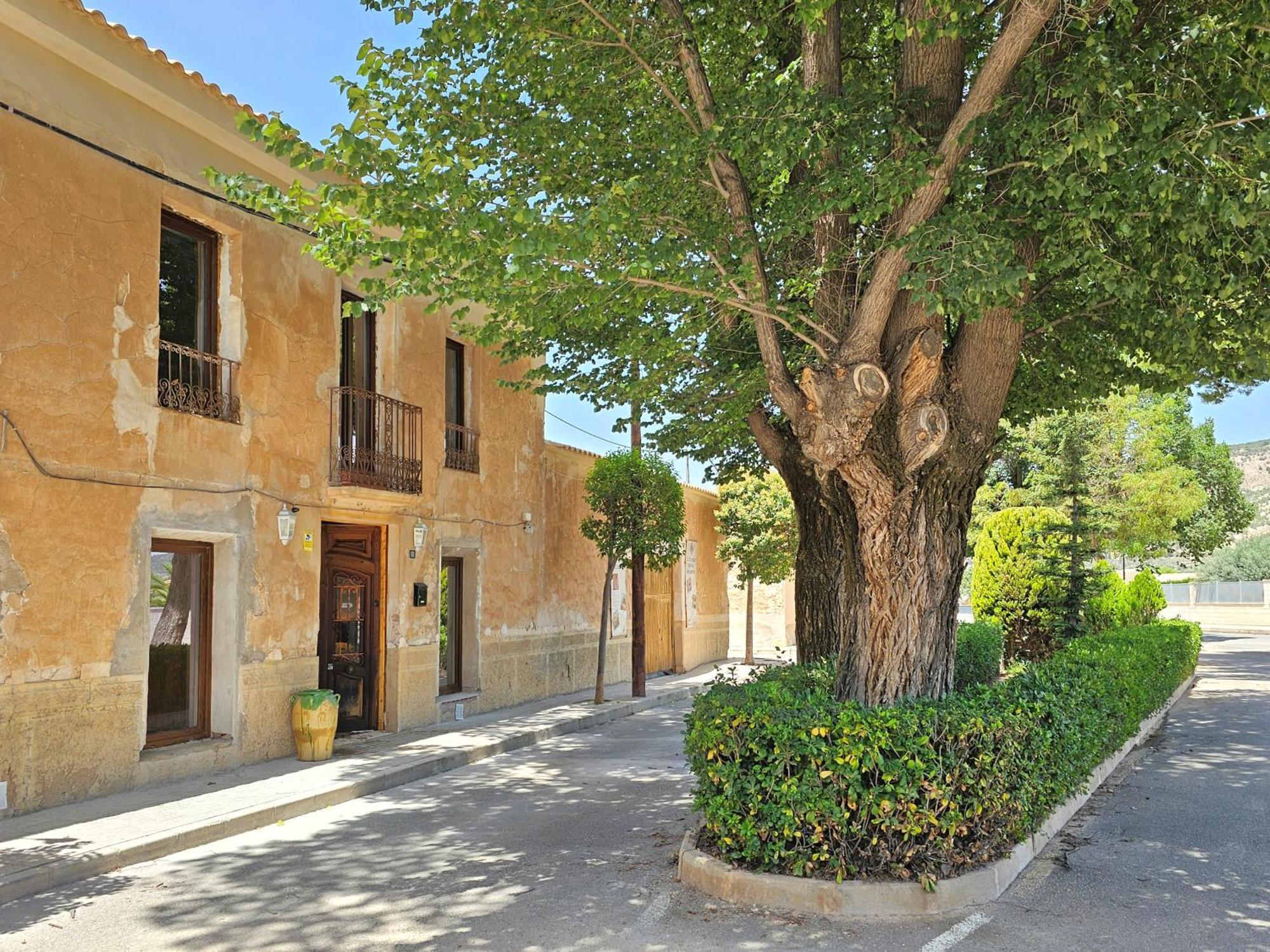 Casa Rodriguillo Bed and Breakfast Pinoso Buitenkant foto